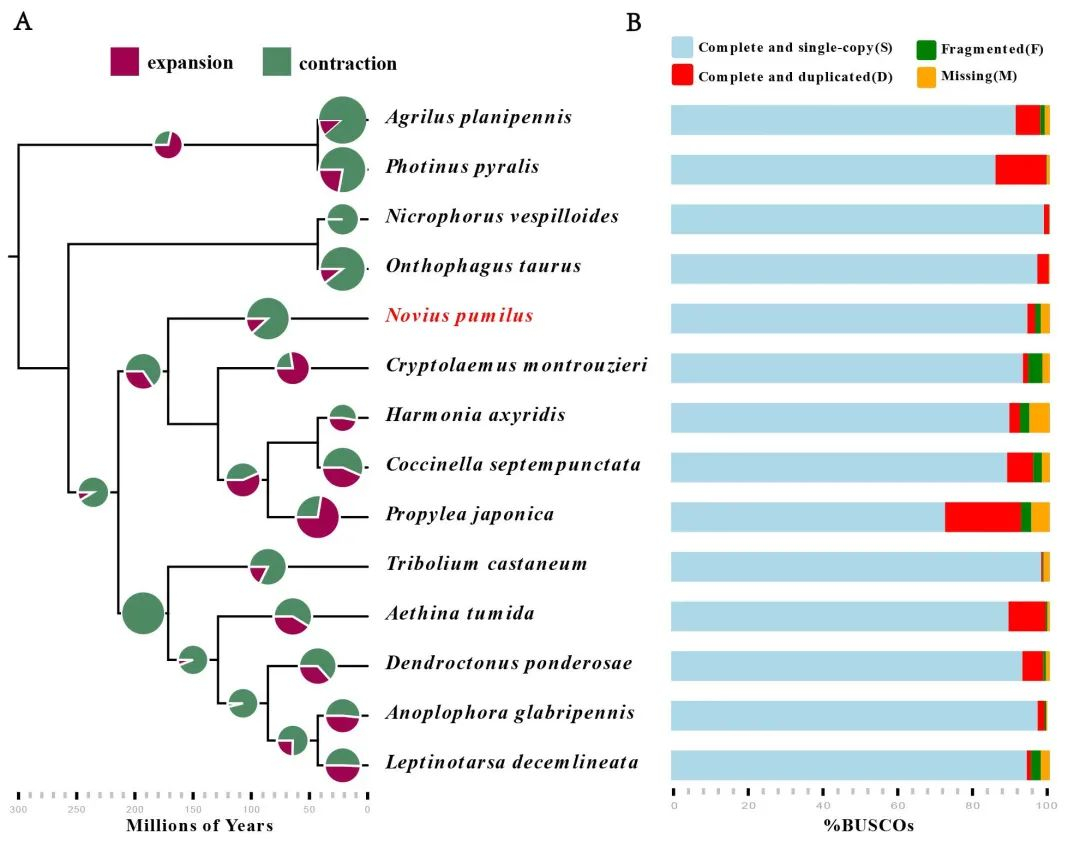 image-20220331143827-4