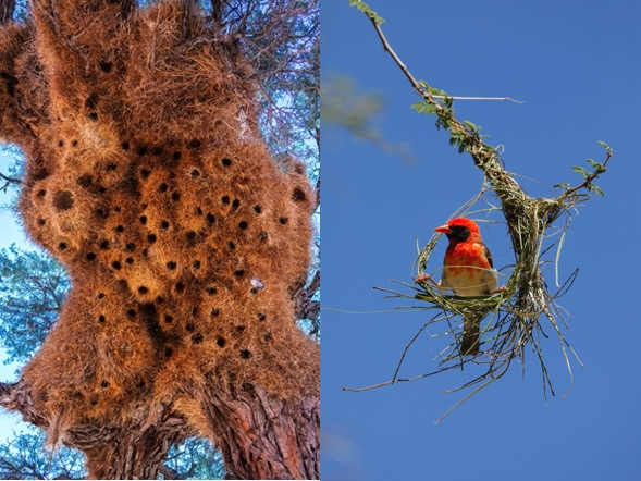 image-20220405140356-2