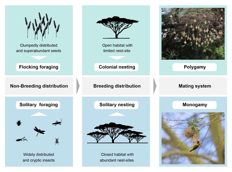 image-20220405140356-3