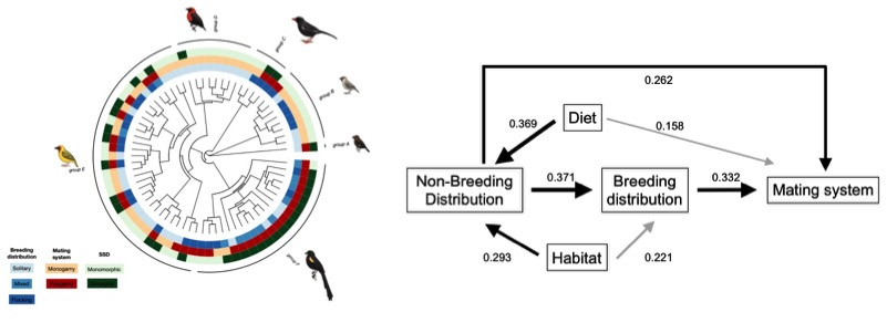 image-20220405140356-4