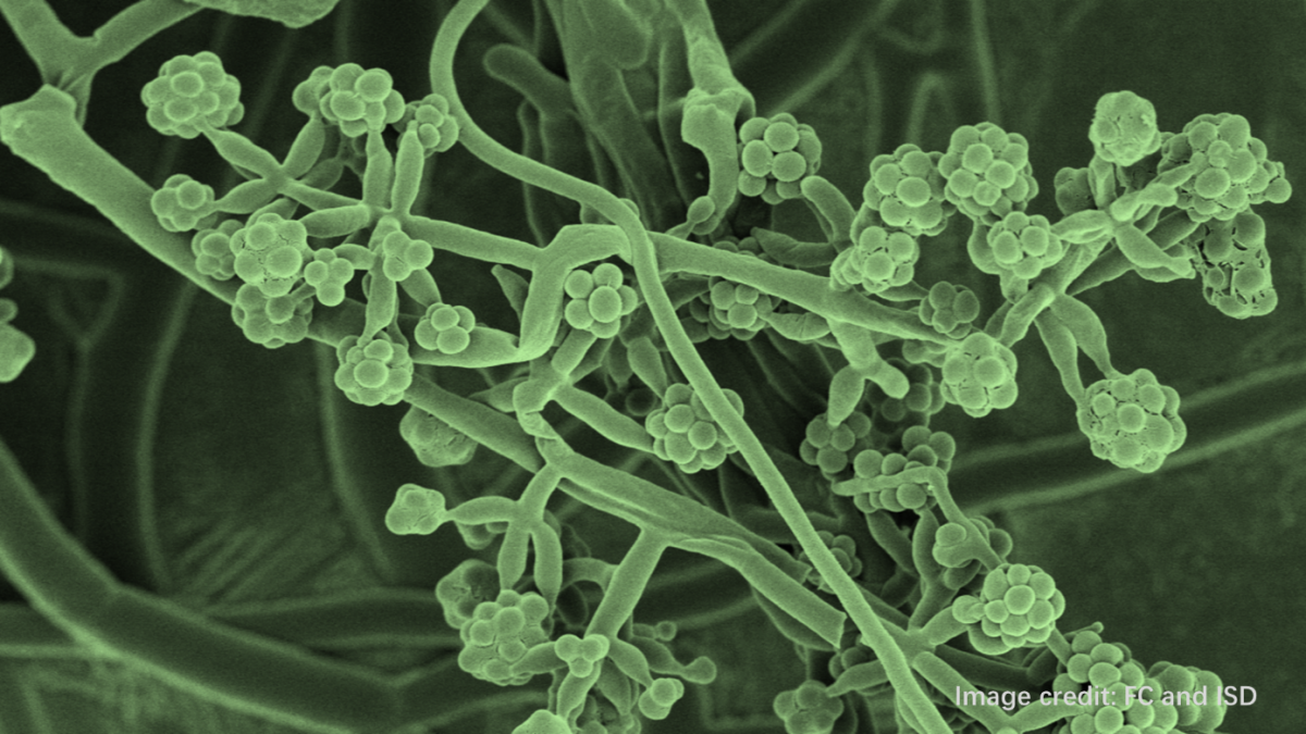 image-20220411102009-1