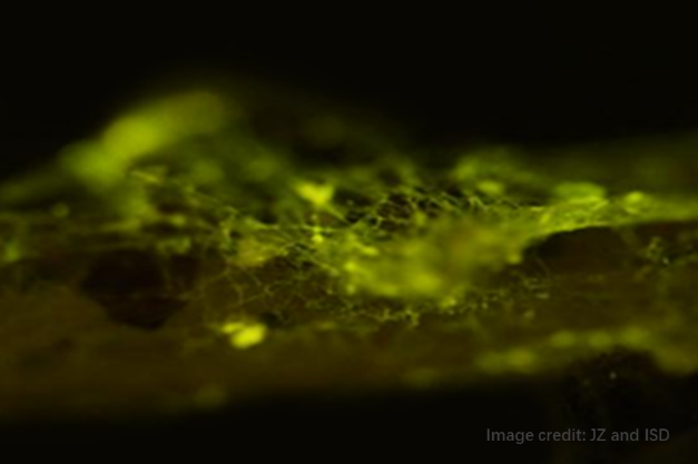 image-20220411102009-2