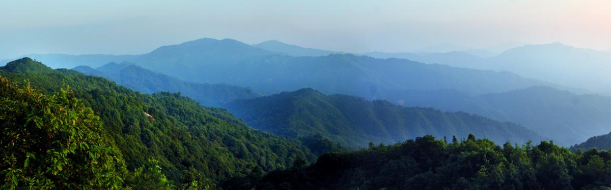 image-20220429232432-1