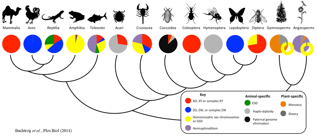 image-20220519112537-2