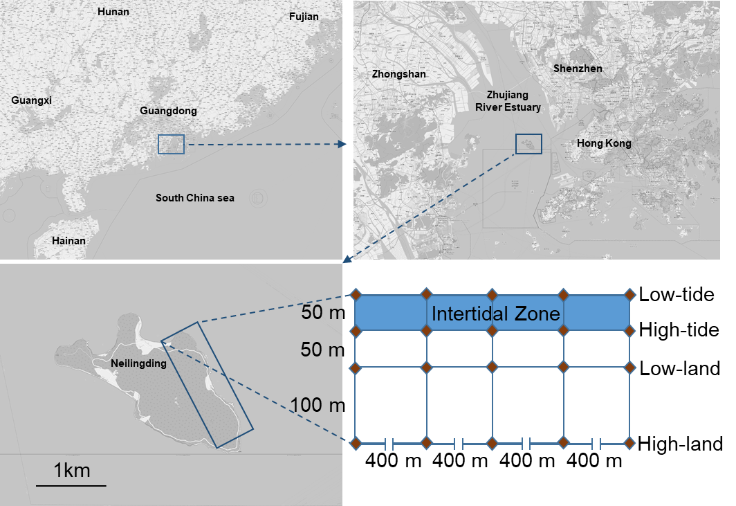 image-20220601104638-1