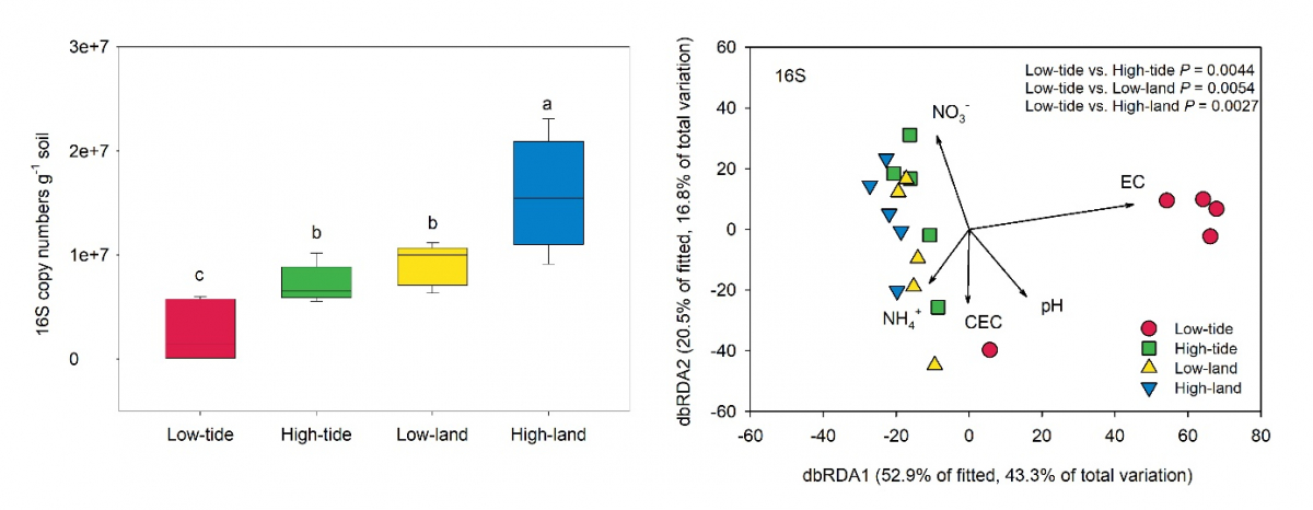 image-20220601104638-2