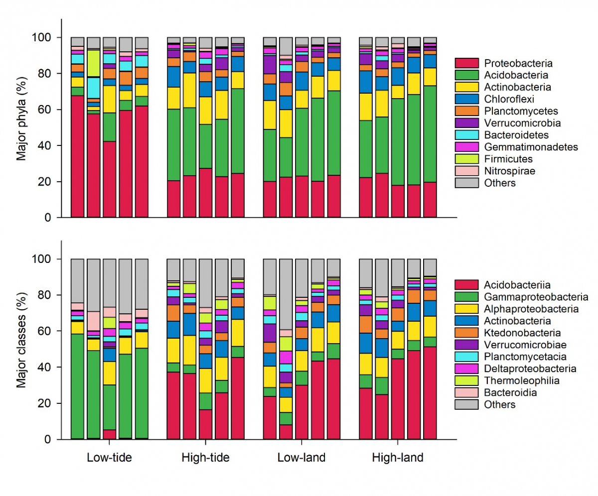 image-20220601104638-3