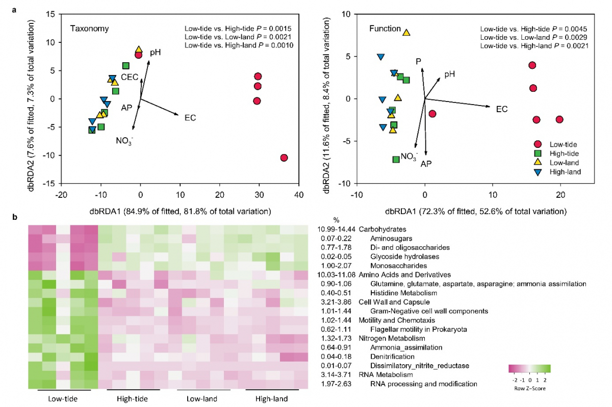 image-20220601104638-4