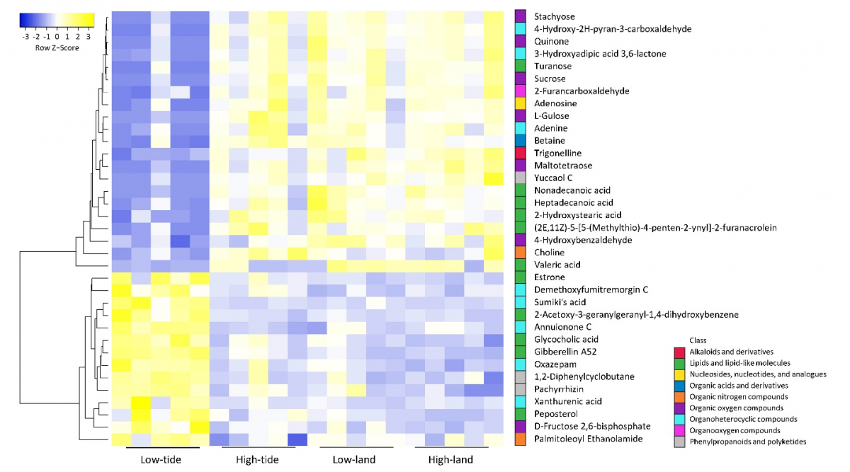 image-20220601104638-5