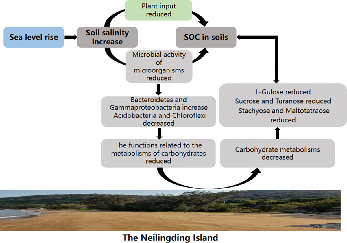 image-20220601104638-6