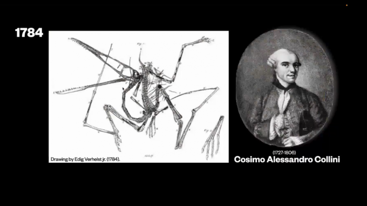 image-20220601154315-4