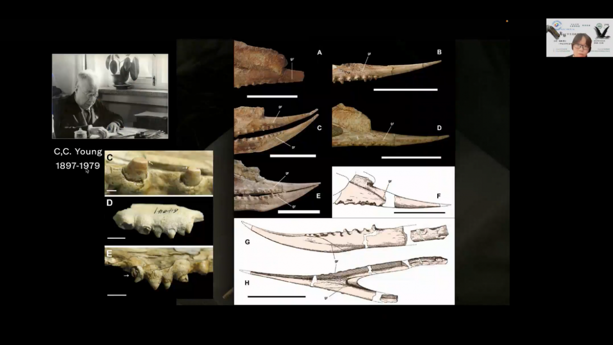 image-20220601154315-5