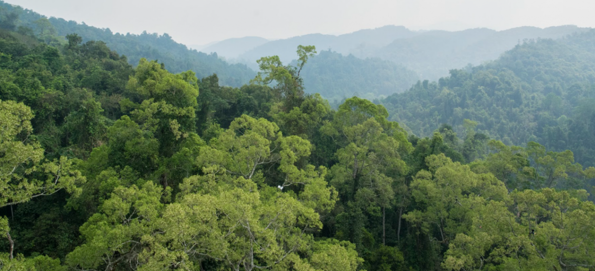 image-20220609133541-1