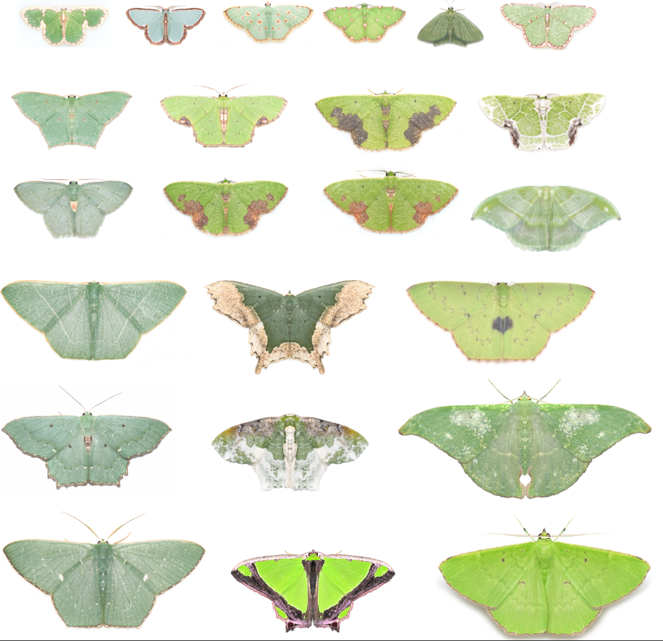 image-20220609133541-2