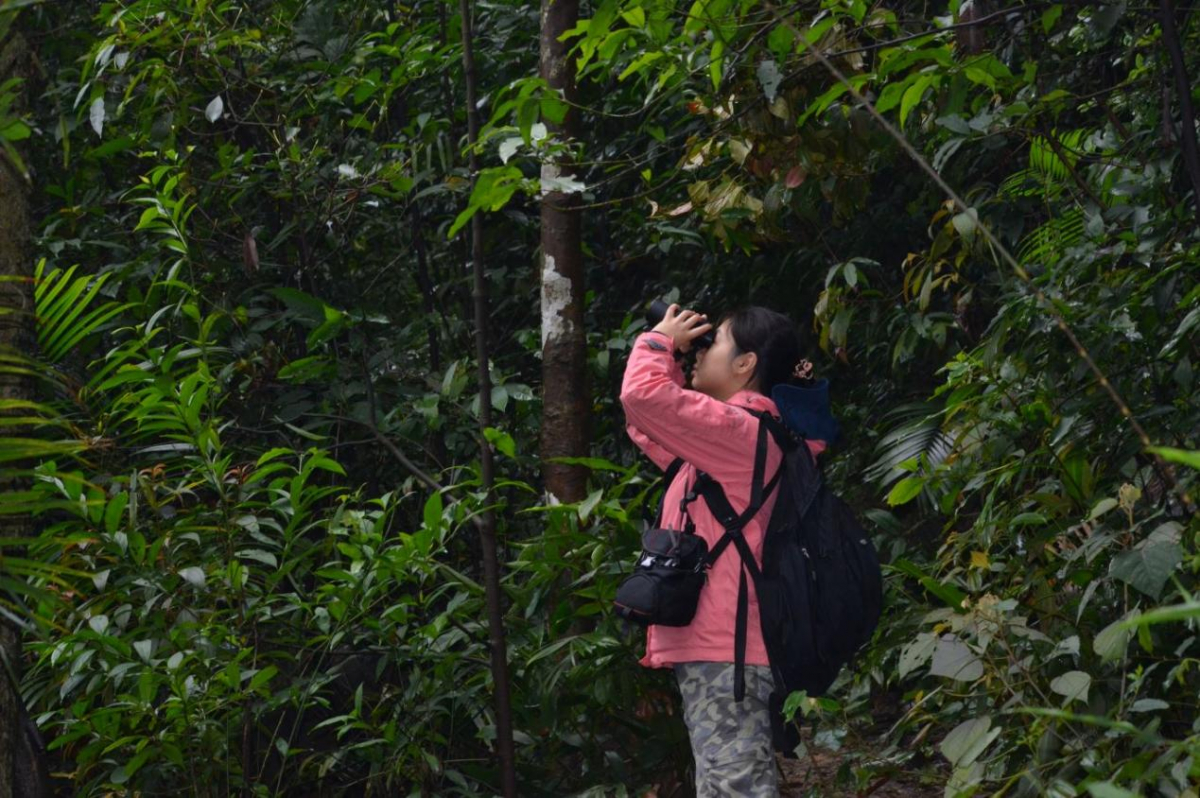 image-20220704175848-2