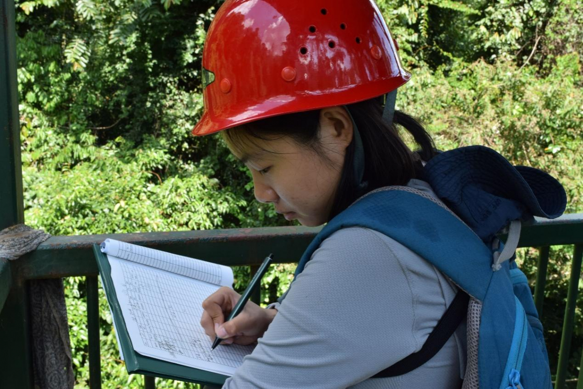 image-20220704175848-3