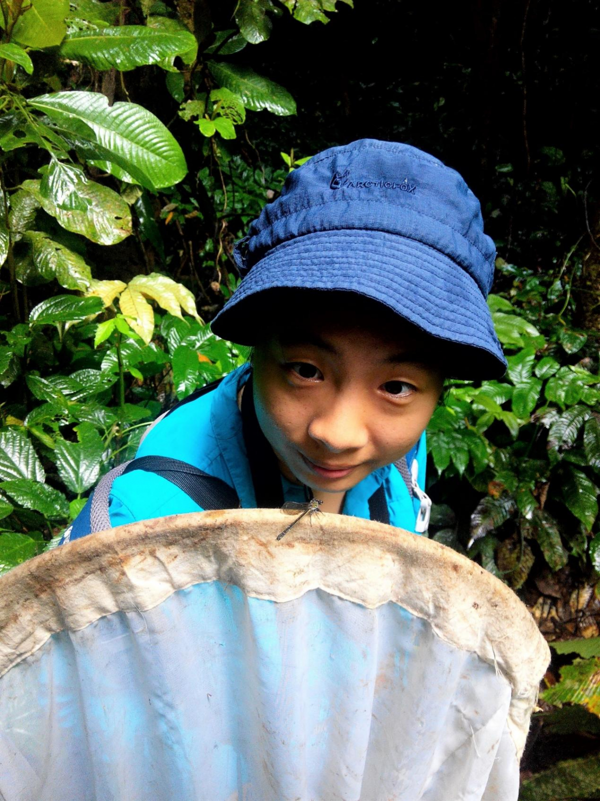 image-20220704175848-4