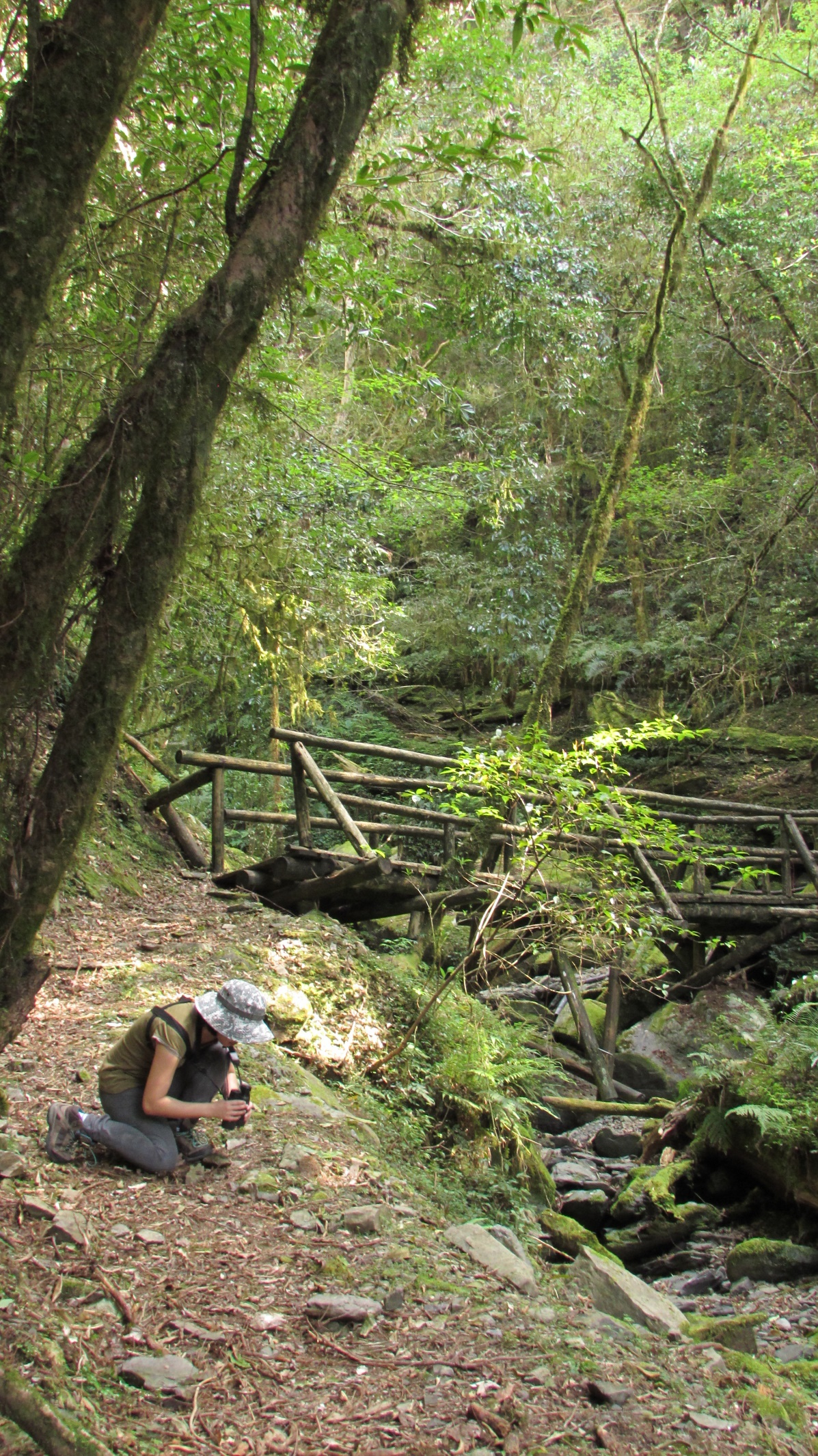 image-20220704175848-5