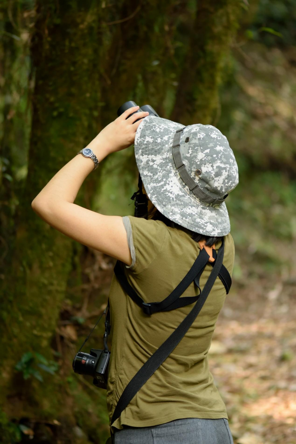 image-20220704175848-6