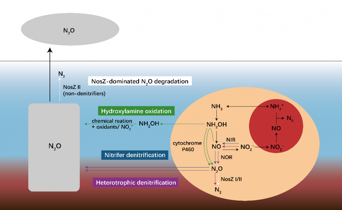 image-20220713094349-1