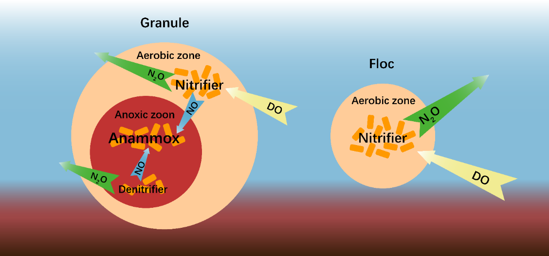 image-20220713094349-2