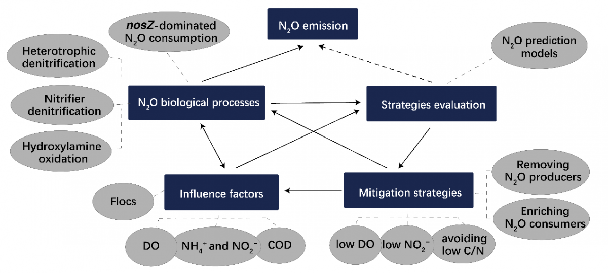 image-20220713094349-3