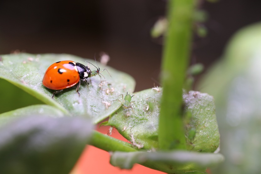 image-20220802120301-1