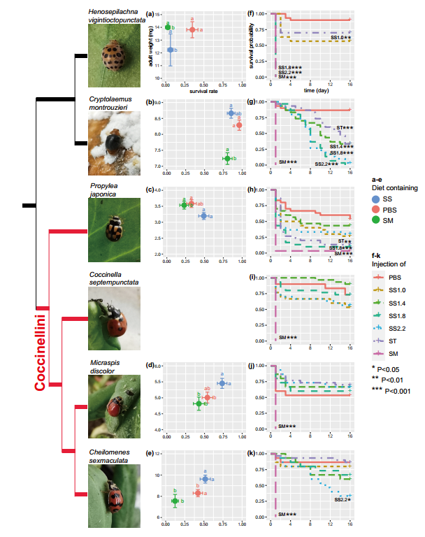 image-20220802120301-2