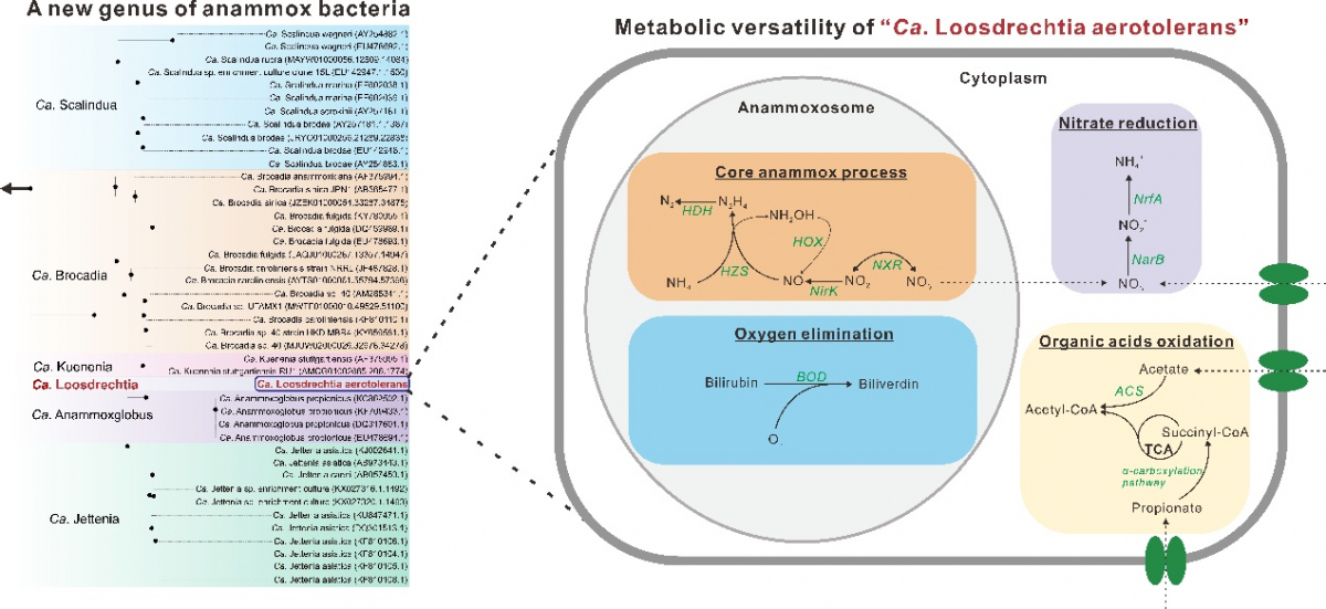 image-20221008165302-1