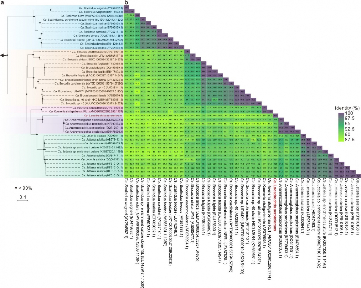 image-20221008165302-2