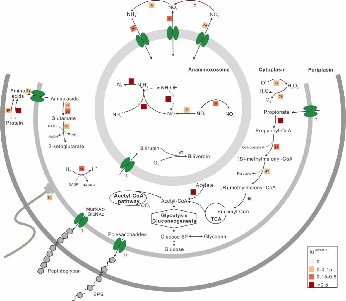 image-20221008165302-3