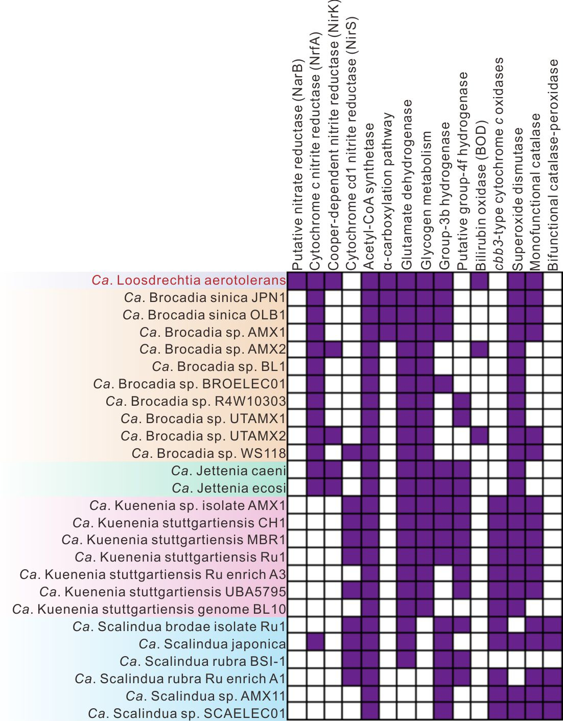 image-20221008165302-4