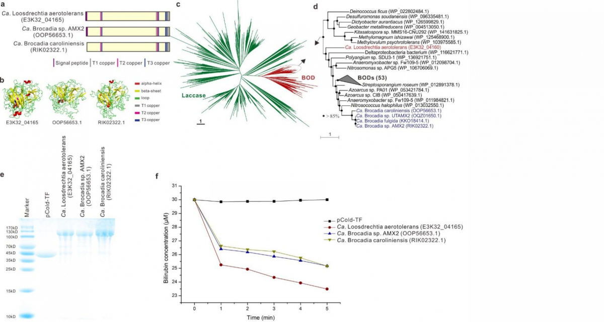 image-20221008165302-5