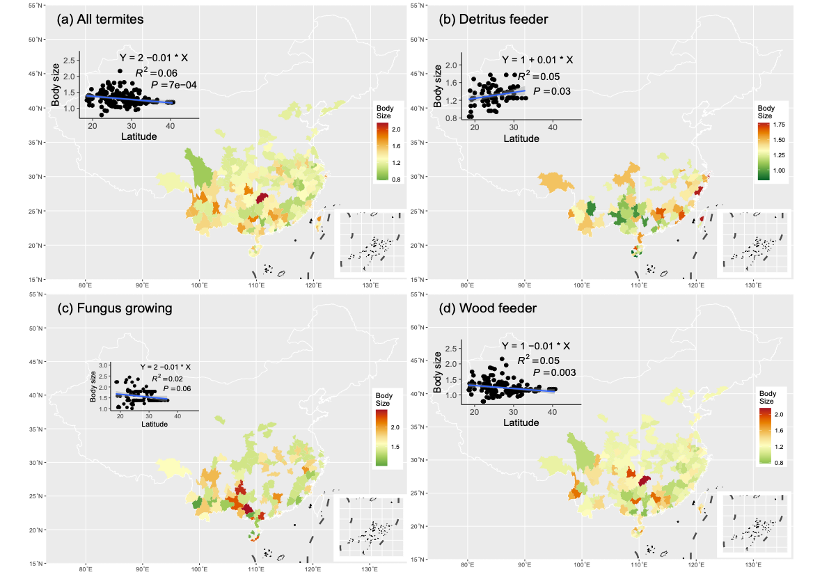 image-20221119230019-3