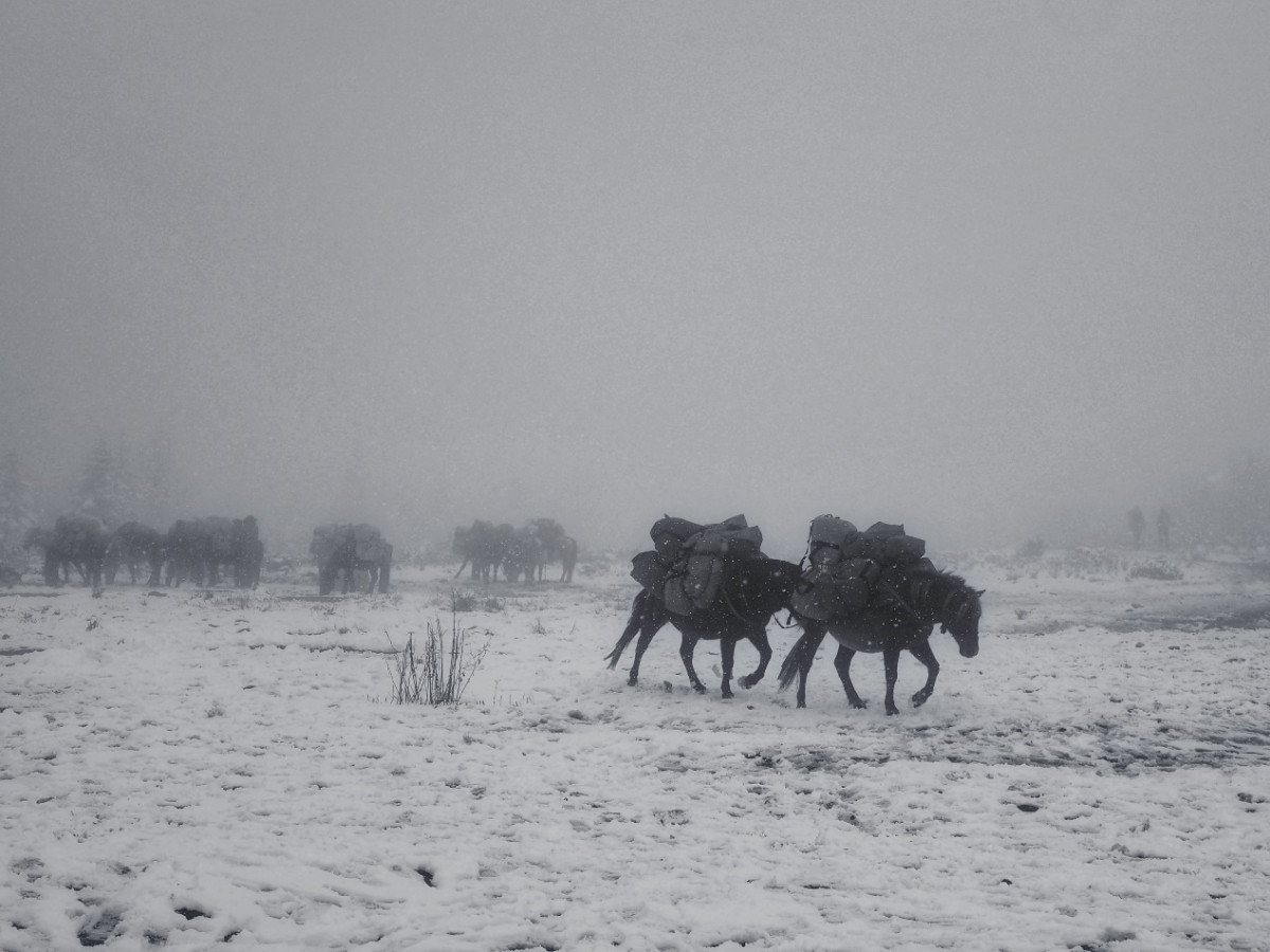 image-20221209155809-1