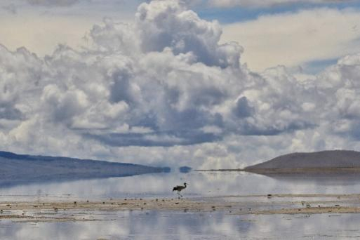 image-20221209155809-10