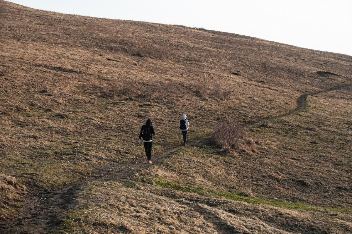 image-20221209155809-11