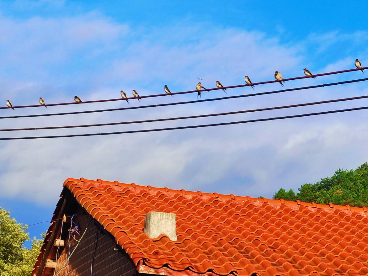 image-20221209155809-12