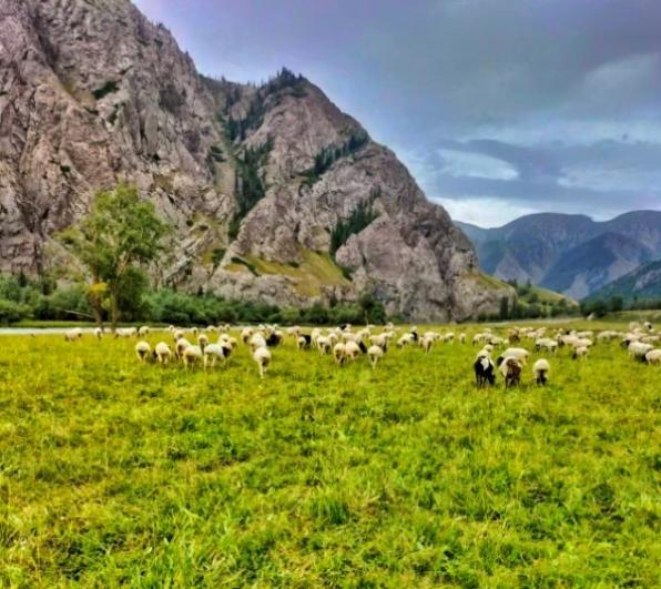 image-20221209155809-13