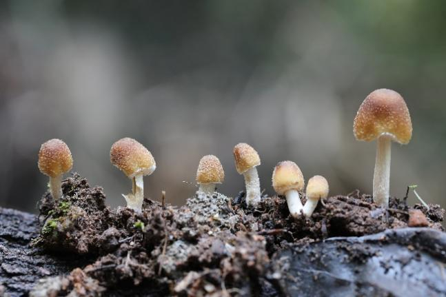 image-20221209155809-3