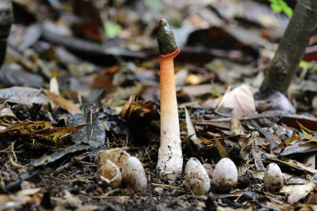 image-20221209155809-4