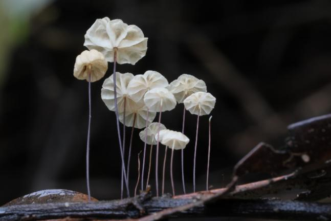 image-20221209155809-5