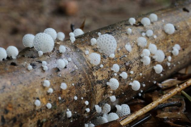 image-20221209155809-6