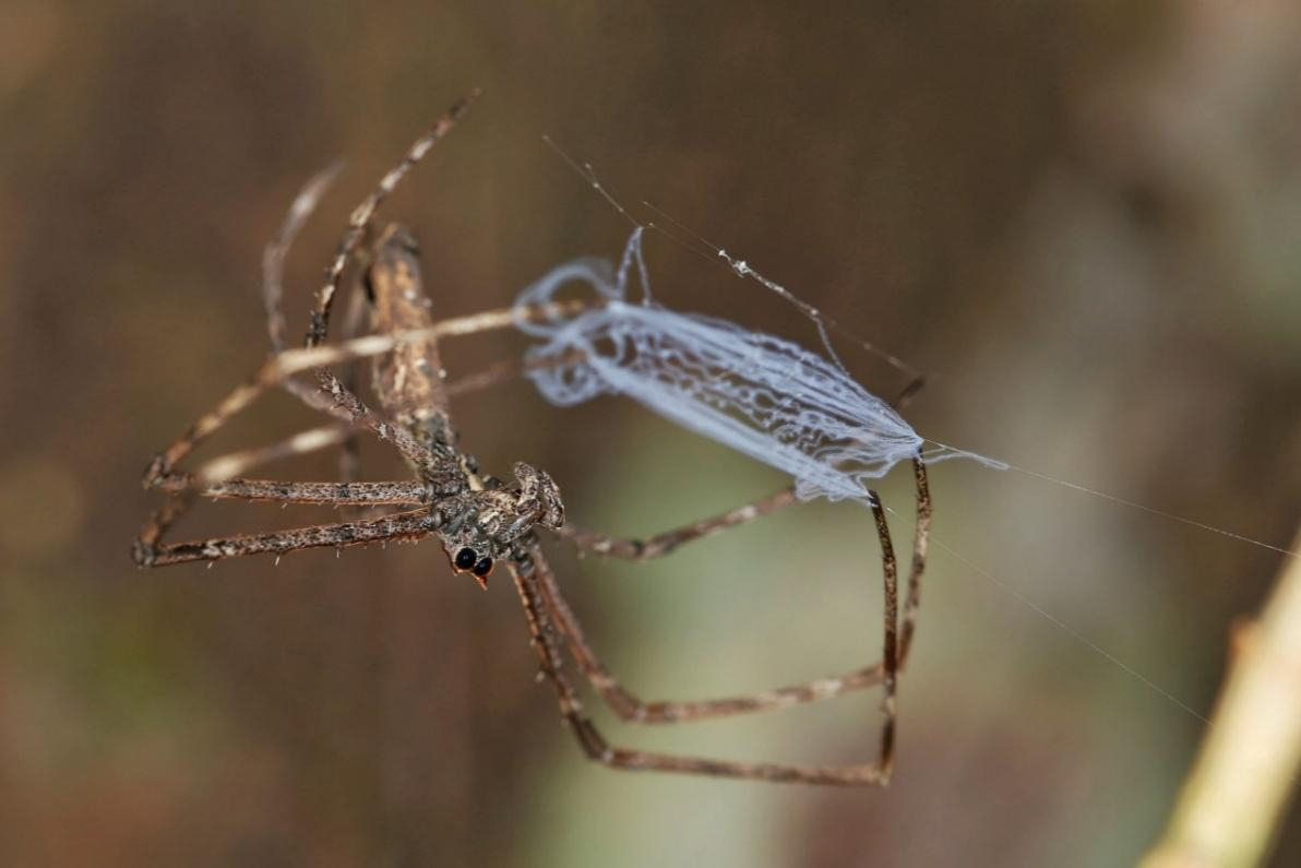 image-20221209155809-7