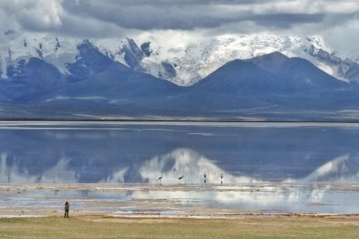 image-20221209155809-8