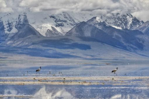 image-20221209155809-9