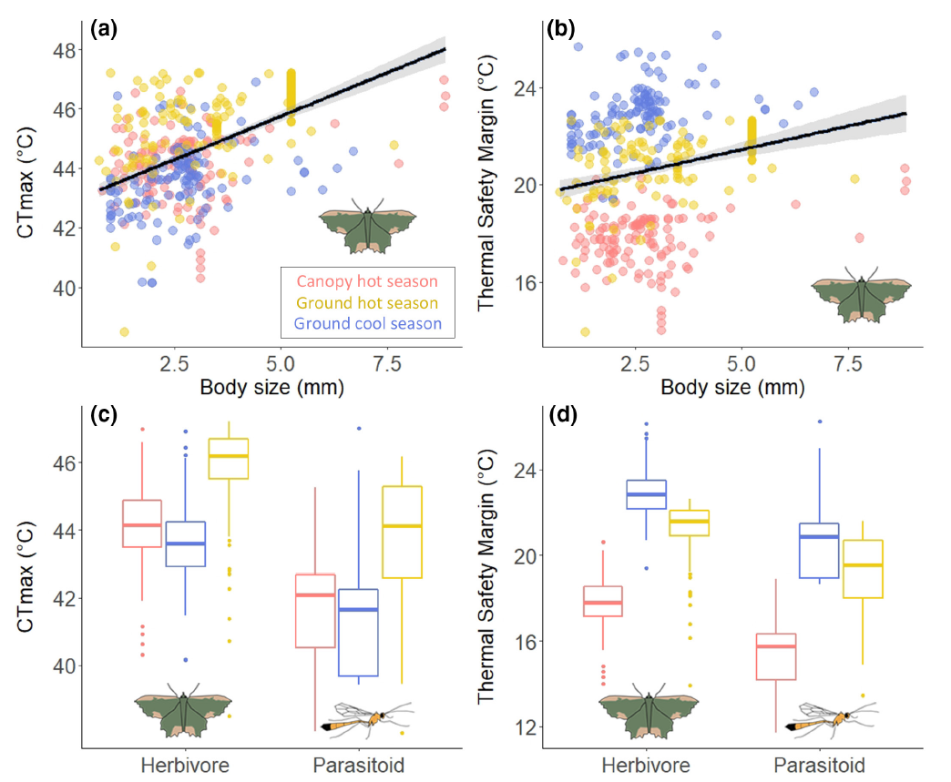 image-20221215135209-1