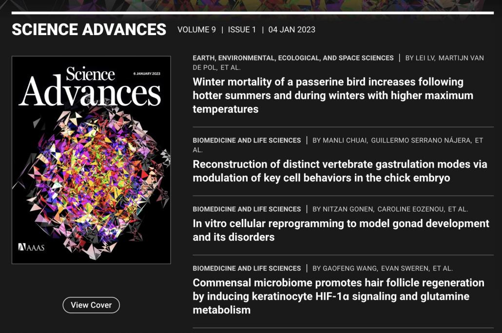 image-20230105142358-1