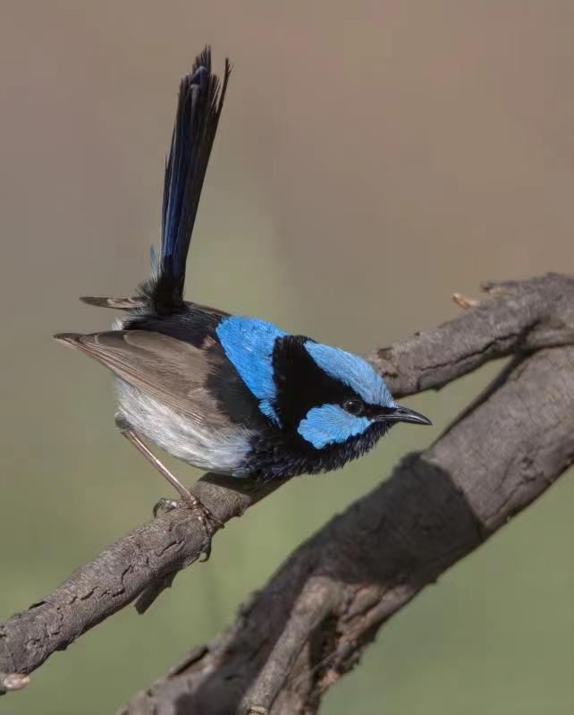 image-20230105142358-2