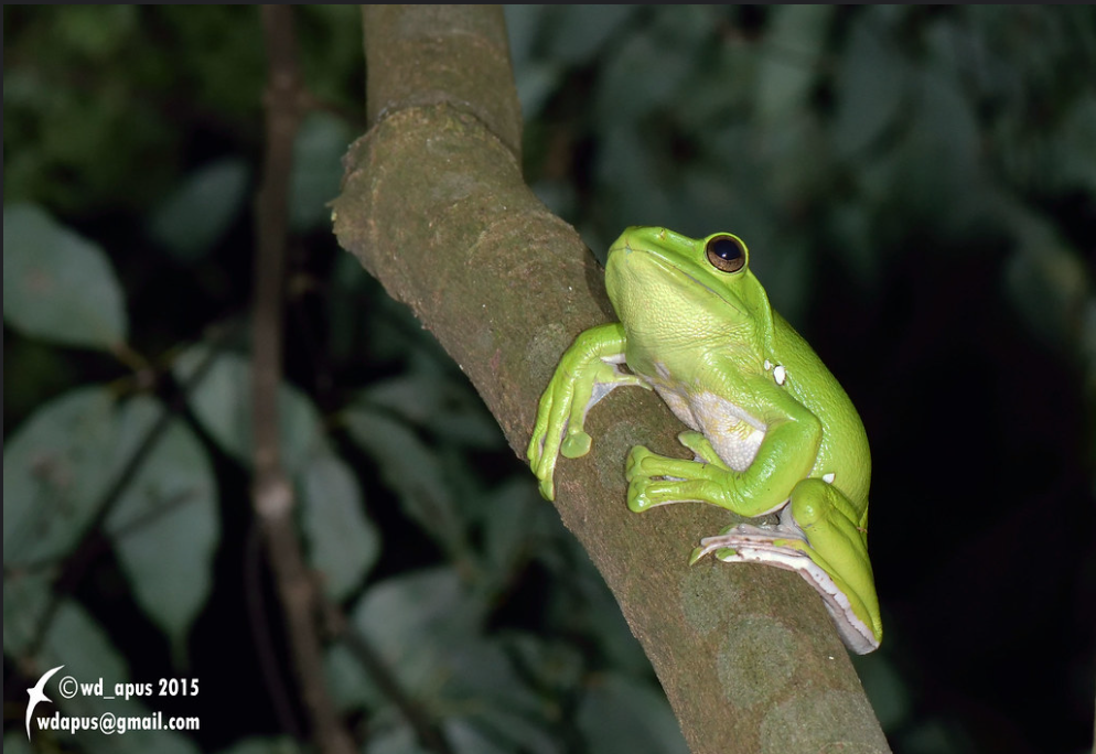 image-20230115161328-1